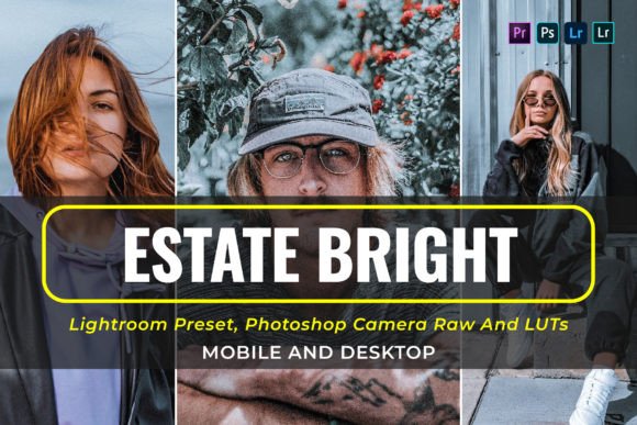 Download 10 Estate Bright Presets and Luts - Bright presets Collection