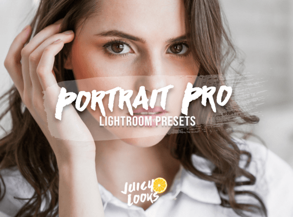 Download 7 PORTRAIT PROFESSIONAL Preset Lightroom - Premium Resources